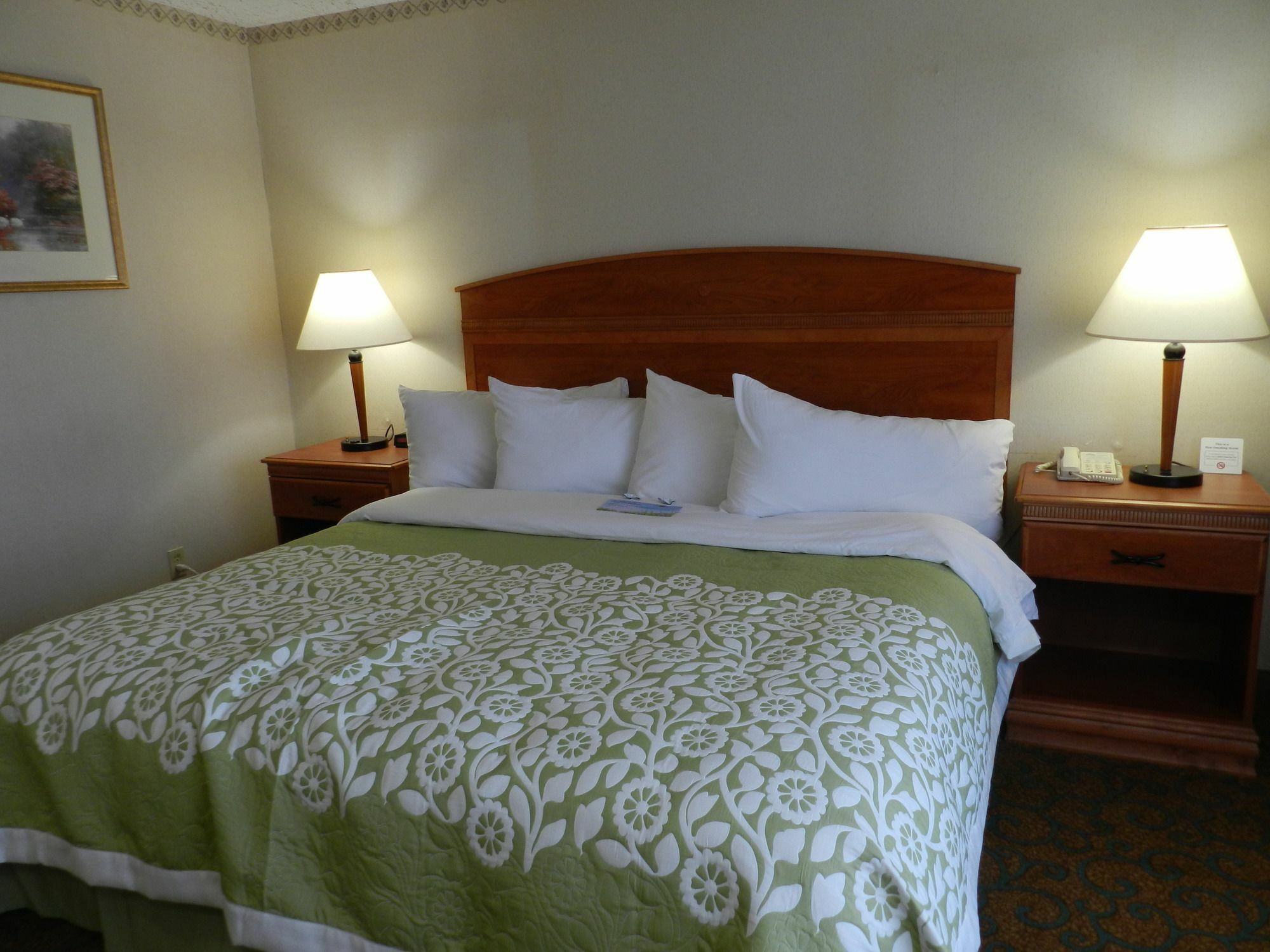 Clarion Pointe Rhinelander Downtown Hotel Ngoại thất bức ảnh