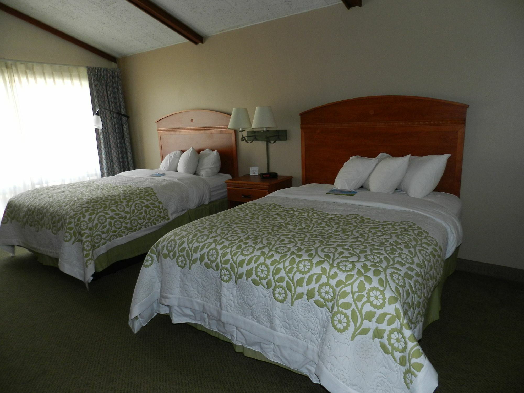Clarion Pointe Rhinelander Downtown Hotel Ngoại thất bức ảnh